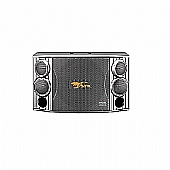 CSX1000 Karaoke speaker 12 inch